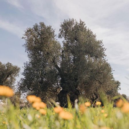 Masseria San Lorenzo Resort Фазано Екстериор снимка