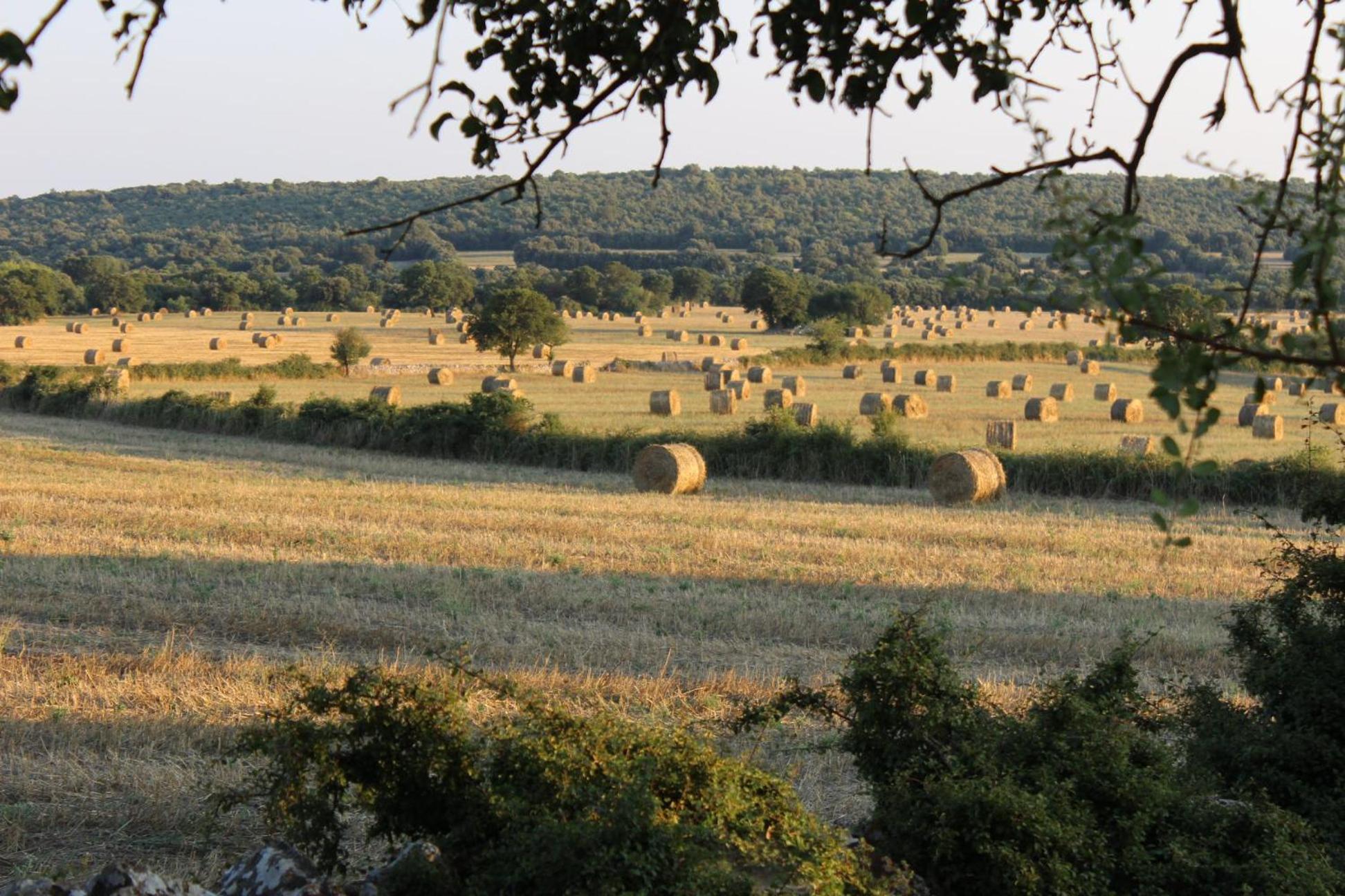 Masseria San Lorenzo Resort Фазано Екстериор снимка