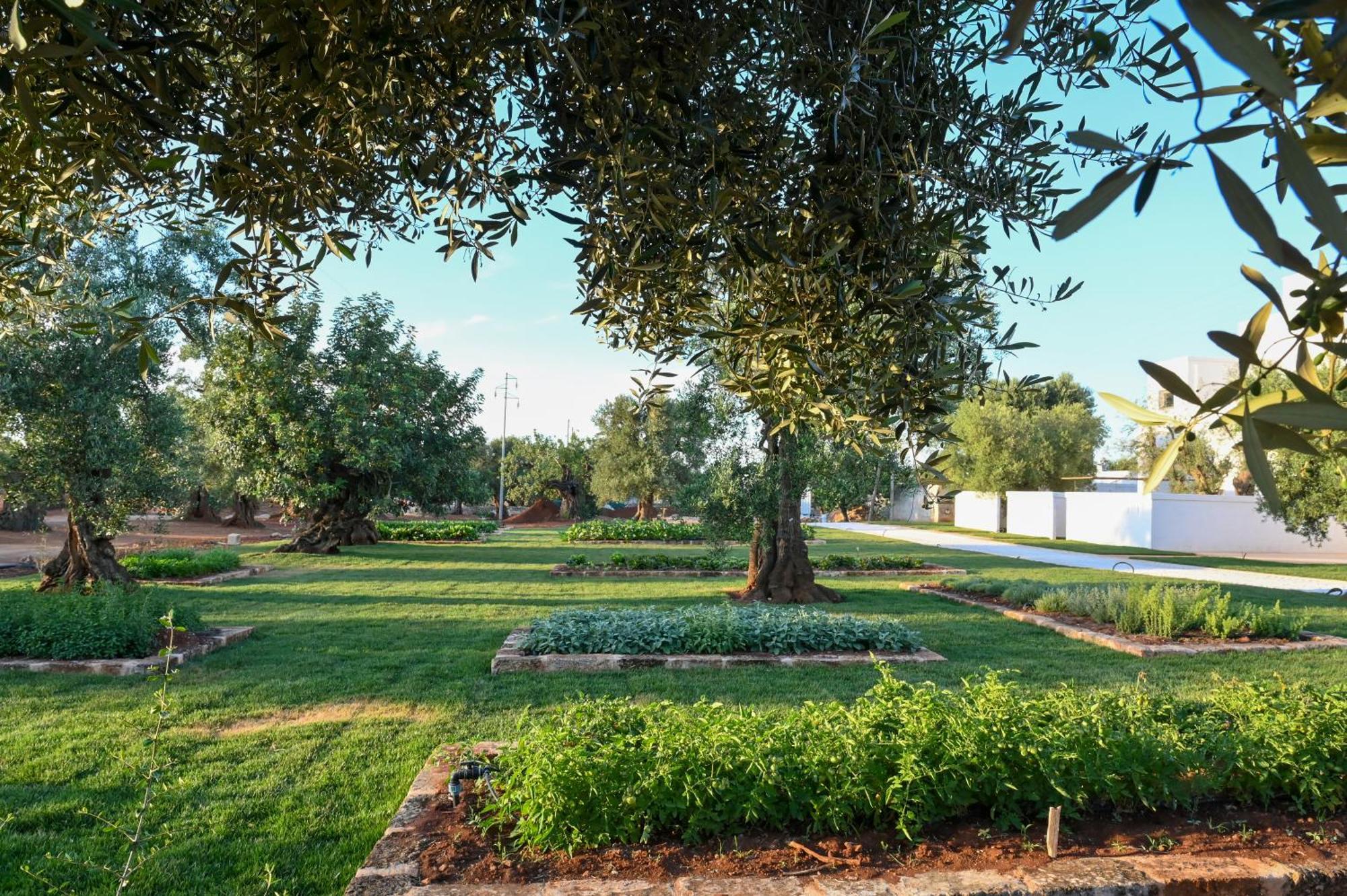Masseria San Lorenzo Resort Фазано Екстериор снимка